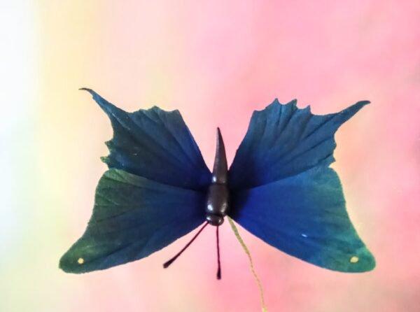 ⁦גשם טרופי: לדלג לשלב הבא⁩ – תמונה ⁦29⁩