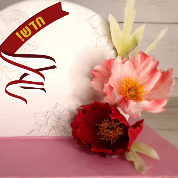 קורס פאוני (אדמונית)
